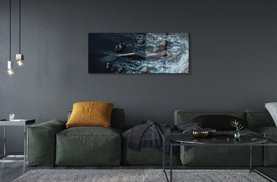 Acrylglasbilder Sirene des meeres