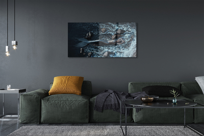 Acrylglasbilder Sirene des meeres