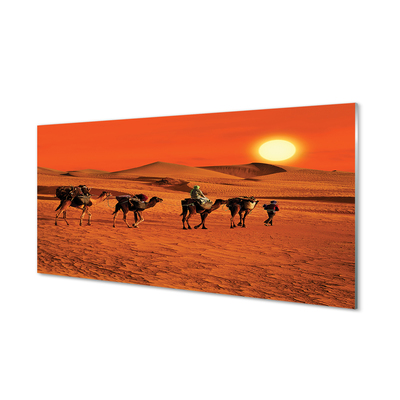 Acrylglasbilder Kamele himmel sonne wüste menschen