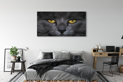 Leinwandbilder Schwarze Katze