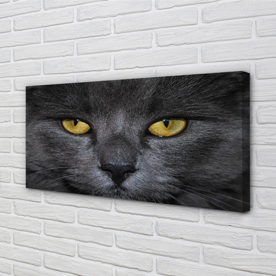 Leinwandbilder Schwarze Katze