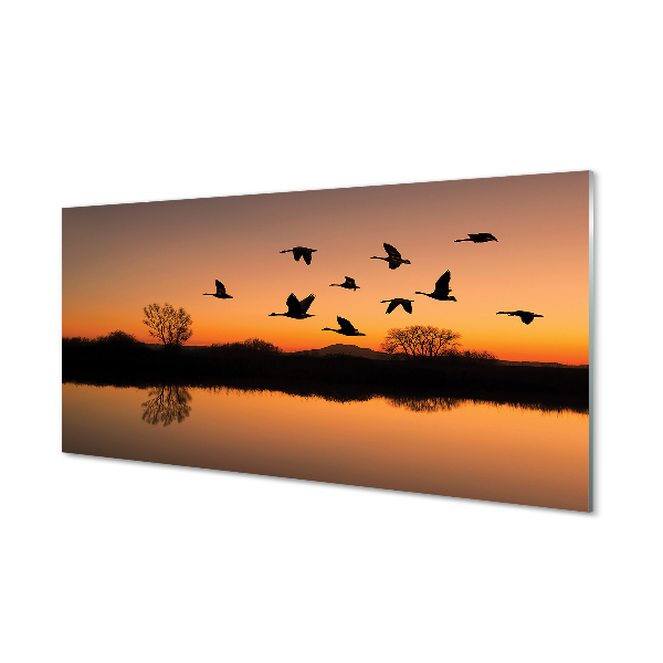 Glasbilder Sonnenuntergang fliegende vögel