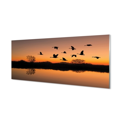 Glasbilder Sonnenuntergang fliegende vögel