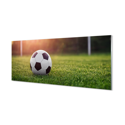 Glasbilder Gras fußball-gateway
