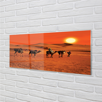 Glasbilder Kamele himmel sonne wüste menschen