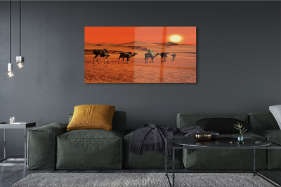 Glasbilder Kamele himmel sonne wüste menschen
