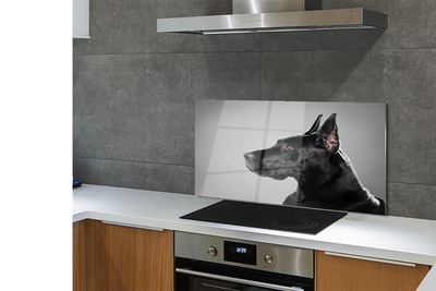 Küchenrückwand spritzschutz Schwarzer hund
