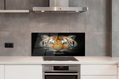 Küchenrückwand spritzschutz Tiger