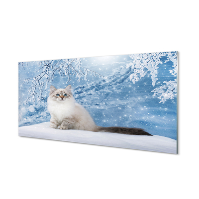 Küchenrückwand spritzschutz Katze winter