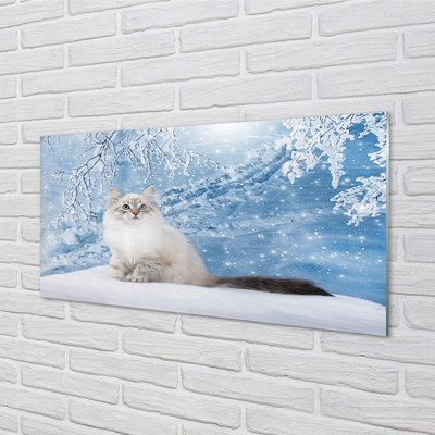 Küchenrückwand spritzschutz Katze winter