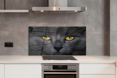 Küchenrückwand spritzschutz Schwarze katze