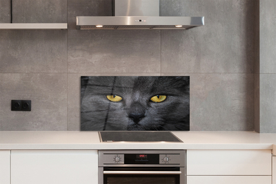 Küchenrückwand spritzschutz Schwarze katze