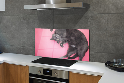 Küchenrückwand spritzschutz Katze liegend