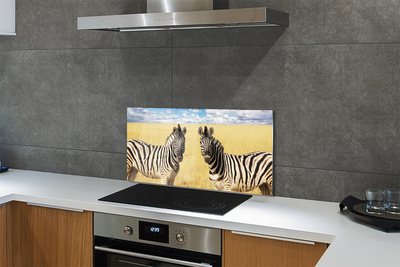 Küchenrückwand spritzschutz Zebra-box