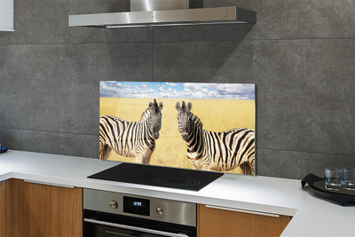 Küchenrückwand spritzschutz Zebra-box