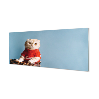 Küchenrückwand spritzschutz Katze sitz