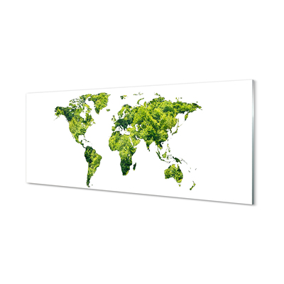 Küchenrückwand spritzschutz Grüne gras-karte