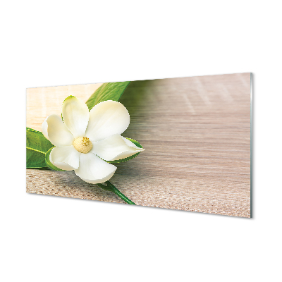 Küchenrückwand spritzschutz Weiße magnolie