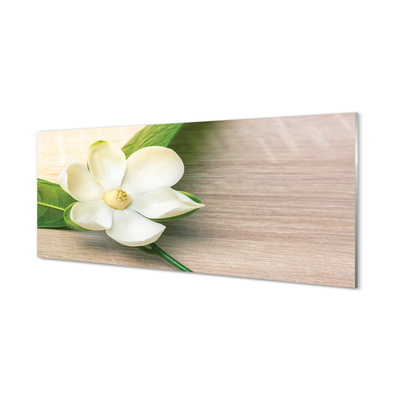 Küchenrückwand spritzschutz Weiße magnolie