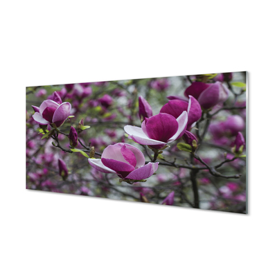 Küchenrückwand spritzschutz Lila magnolie