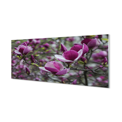 Küchenrückwand spritzschutz Lila magnolie