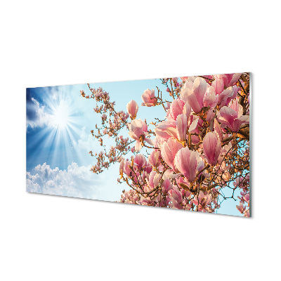 Küchenrückwand spritzschutz Himmel sonne magnolia