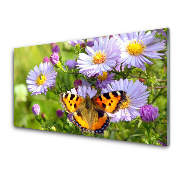 Acrylglasbilder Blumen Schmetterling Natur