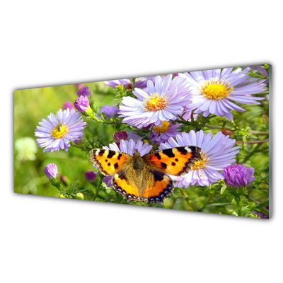 Acrylglasbilder Blumen Schmetterling Natur