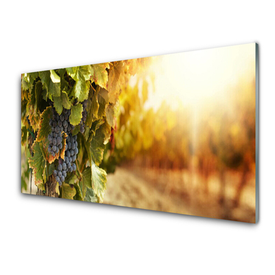 Glasbild aus Plexiglas® Weintrauben Natur