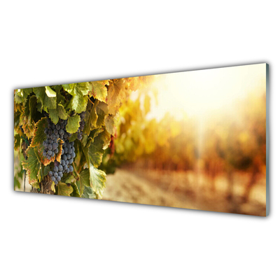 Glasbild aus Plexiglas® Weintrauben Natur