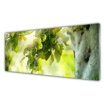 Glasbild aus Plexiglas® Zweig Äpfel Küche