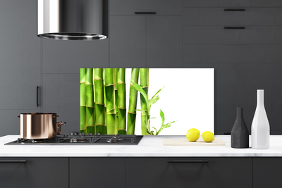 Küchenrückwand Spritzschutz Bambus Pflanzen