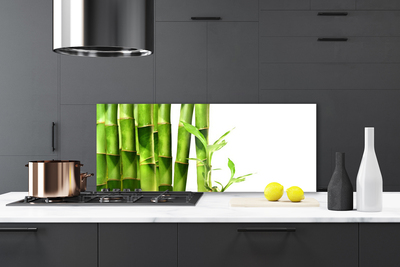 Küchenrückwand Spritzschutz Bambus Pflanzen