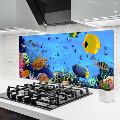 Küchenrückwand Spritzschutz Korallenriff Unterwasser Fische Natur