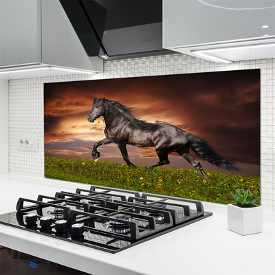 Küchenrückwand Spritzschutz Schwarzes Pferd Wiese Tiere