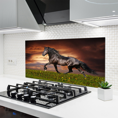 Küchenrückwand Spritzschutz Schwarzes Pferd Wiese Tiere