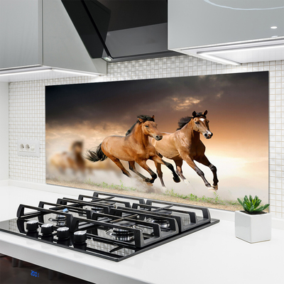 Küchenrückwand Spritzschutz Pferde Tiere
