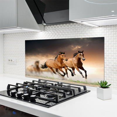 Küchenrückwand Spritzschutz Pferde Tiere
