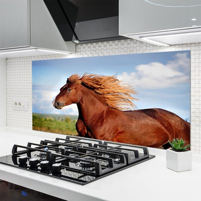 Küchenrückwand Spritzschutz Pferd Tiere