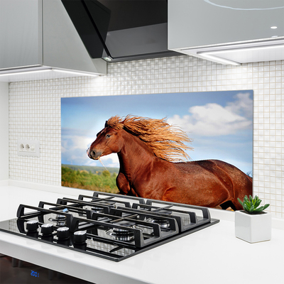 Küchenrückwand Spritzschutz Pferd Tiere