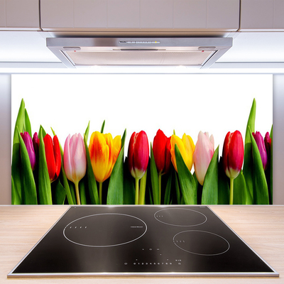 Küchenrückwand Spritzschutz Tulpen Pflanzen