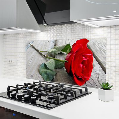 Küchenrückwand Spritzschutz Rose Pflanzen