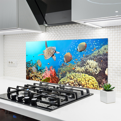 Küchenrückwand Spritzschutz Korallenriff Landschaft
