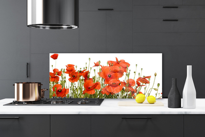 Küchenrückwand Spritzschutz Mohnblumen Pflanzen