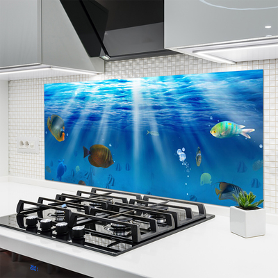 Küchenrückwand Spritzschutz Fische Natur