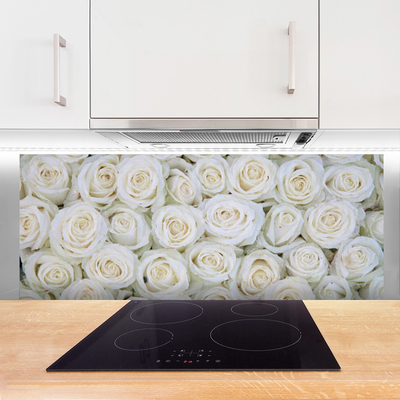 Küchenrückwand Spritzschutz Rosen Pflanzen