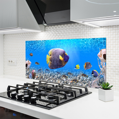 Küchenrückwand Spritzschutz Fische Natur