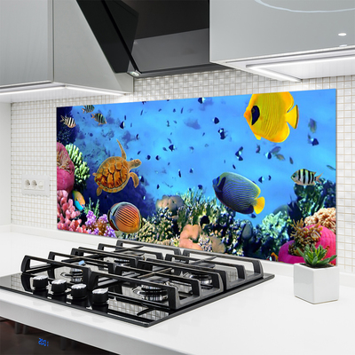 Küchenrückwand Fliesenspiegel Korallenriff Natur