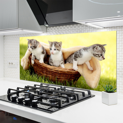 Küchenrückwand Fliesenspiegel Katzen Tiere