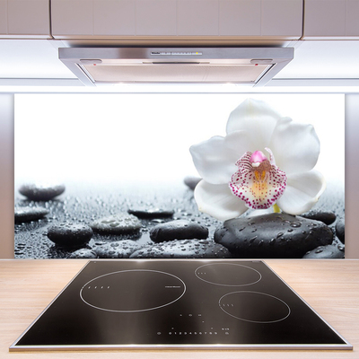 Küchenrückwand Fliesenspiegel Blume Steine Kunst